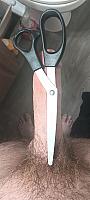 penis pic