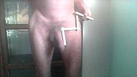 cock